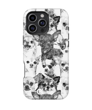 Chihuahua